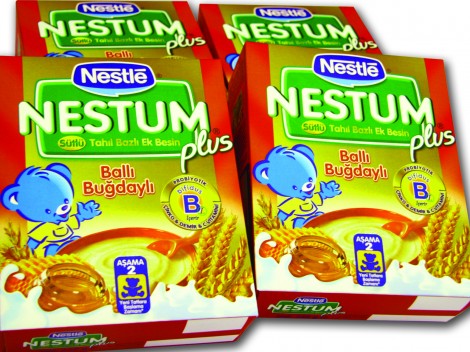 kutu maket