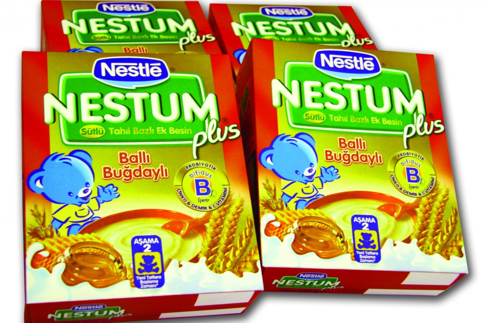 kutu maket